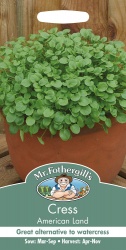 Cress Seeds American Land by Mr Fothergills