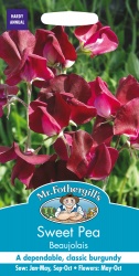 Sweet Pea Seeds 'Beaujolais' by Mr Fothergill's