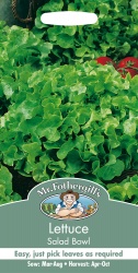 Lettuce Seeds 'Salad Bowl Green' by Mr Fothergill's