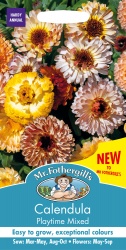Calendula Seeds 'Playtime Mixed' by Mr Fothergill's