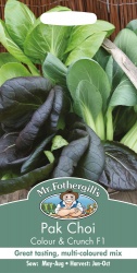 Pak Choi Seeds Colour & Crunch F1 by Mr Fothergill's
