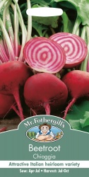 Beetroot Seeds Chioggia by Mr Fothergill's