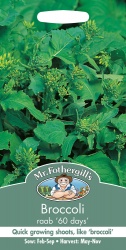 Broccoli Raab '60 Days' by Mr Fothergill's