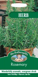 Rosemary Seeds Herb by Mr Fothergill's