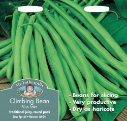 Climbing French Bean 'Blue Lake' by Mr Fothergill's