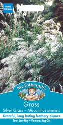 Silver Grass Seeds by Mr Fothergill's Miscanthus Sinensis