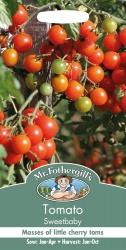 Tomato Seeds Sweet Baby by Mr Fothergill's