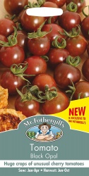 Tomato Seeds Black Opal by Mr Fothergill's