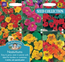Nasturtium Seeds Collection by Mr Fothergill's