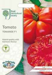 RHS Beefsteak Tomato Seeds 'Tomande F1'
