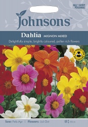 Dahlia Seeds Variety 'Mignon' Mixed